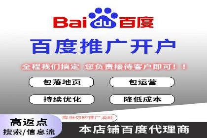 行业领先的SEM投放效果案例解析